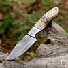 Desert Horn – Handmade Hunting Skinner  Knife