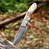 Desert Horn – Handmade Hunting Skinner  Knife