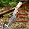 Desert Horn – Handmade Hunting Skinner  Knife
