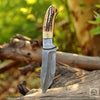 Golden Antler-Handmade Hunting Skinner Knife