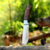 Timber Claw – Handmade Hunting Skinner Knife