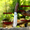 Timber Claw – Handmade Hunting Skinner Knife
